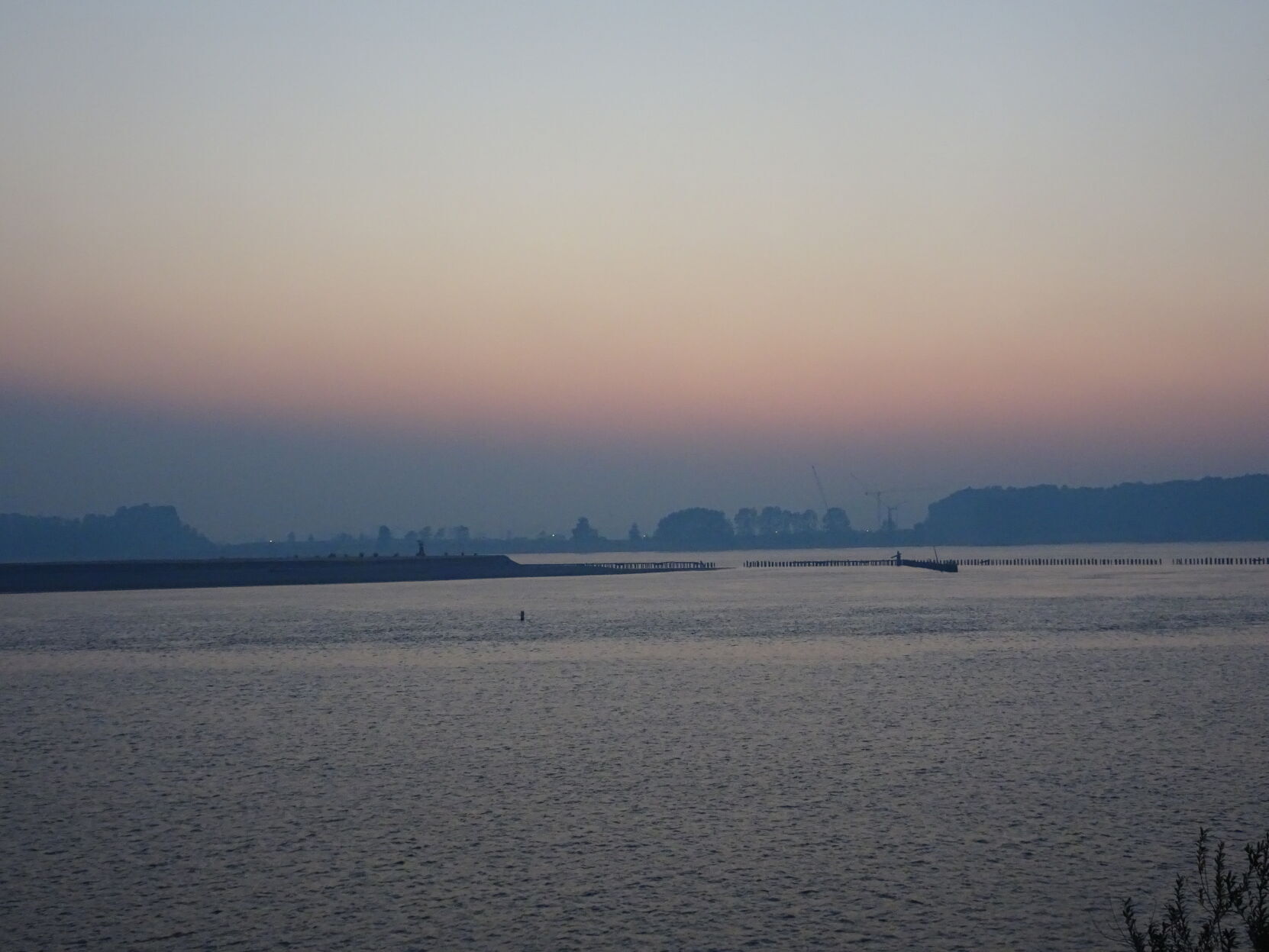 Wildfire Smoke